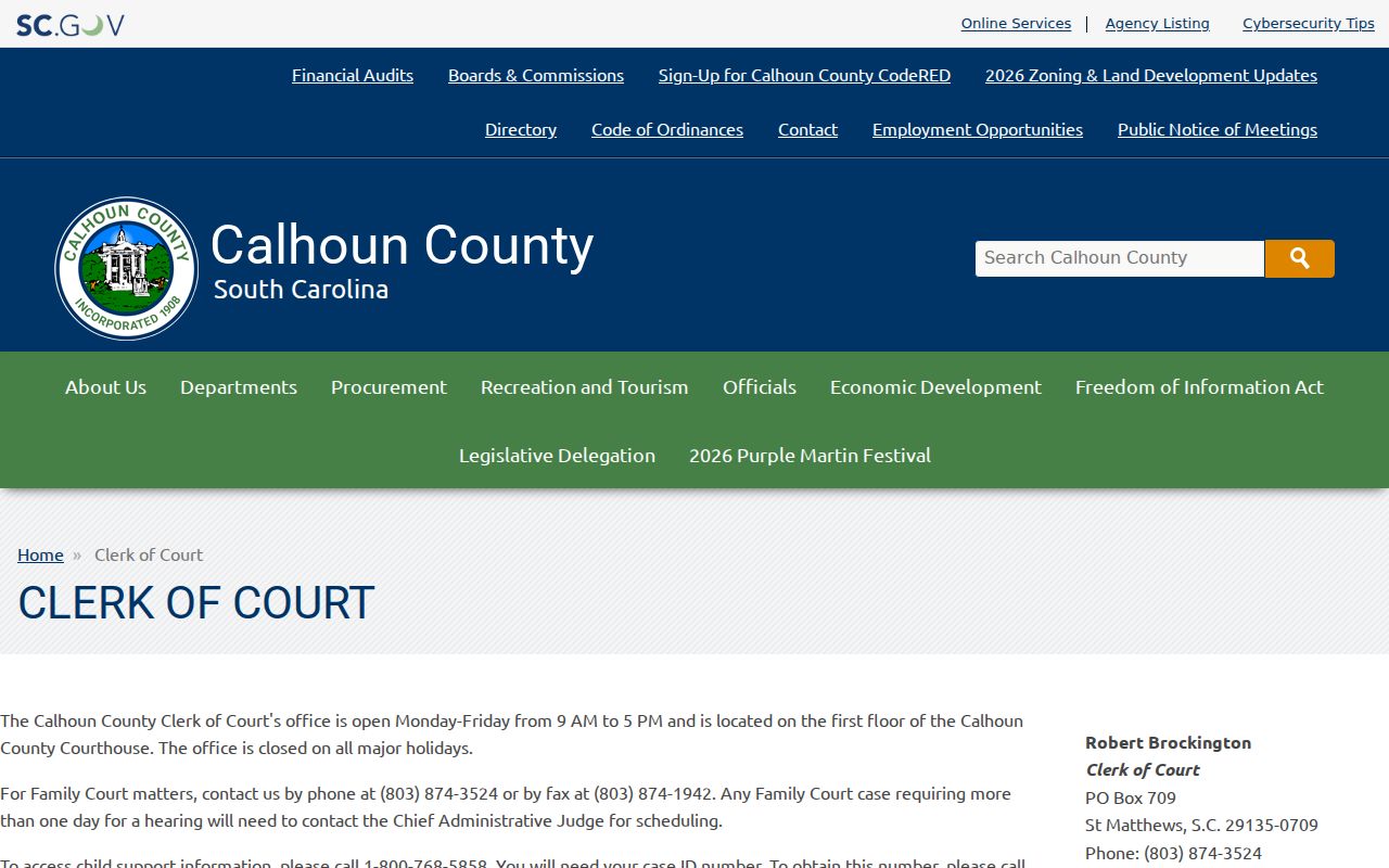 Calhoun County criminal court record clerk page